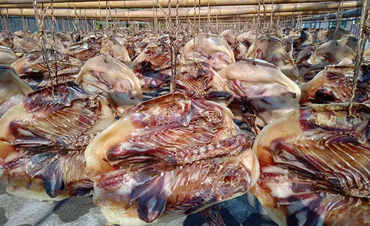 肉制品烘干项目