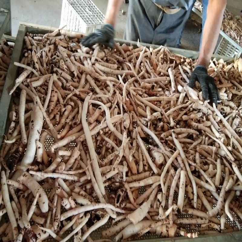 空气能热泵烘干机：让药材烘干留住本真，提升价值