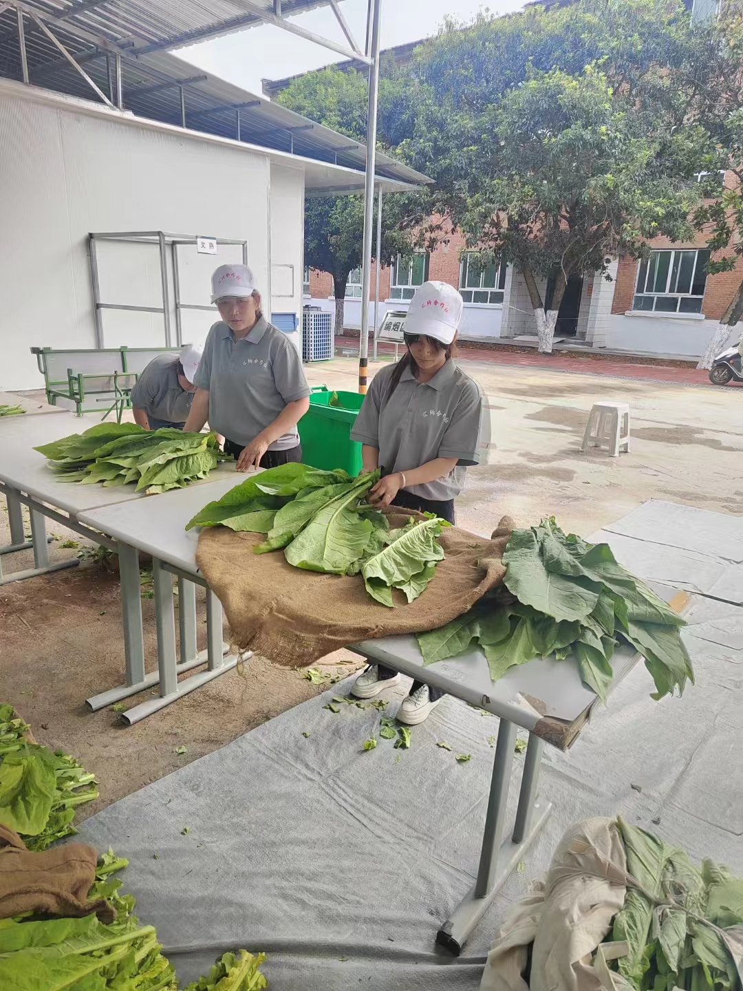 微信图片_20240507104222.jpg 微信图片_20240507104222.jpg