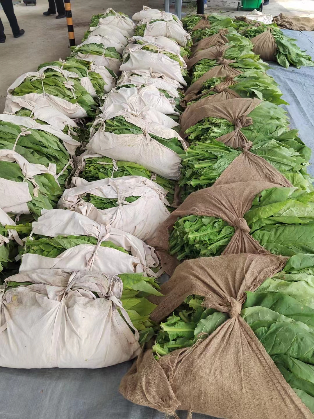 微信图片_20240507104215.jpg 微信图片_20240507104215.jpg