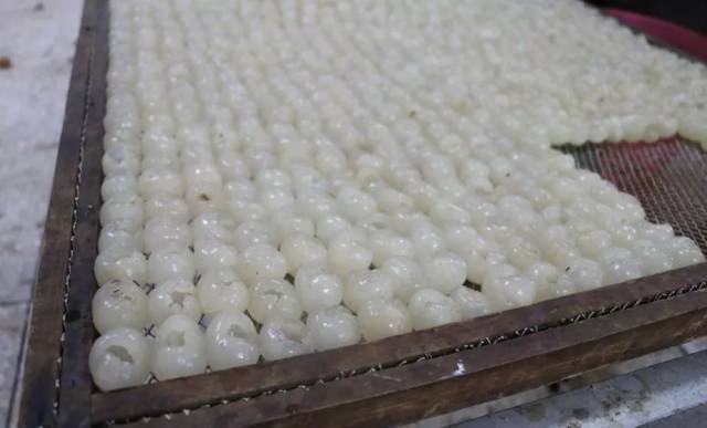 c2016aa1-b5f9-46ae-80ca-63d4209b7d91.jpg c2016aa1-b5f9-46ae-80ca-63d4209b7d91.jpg