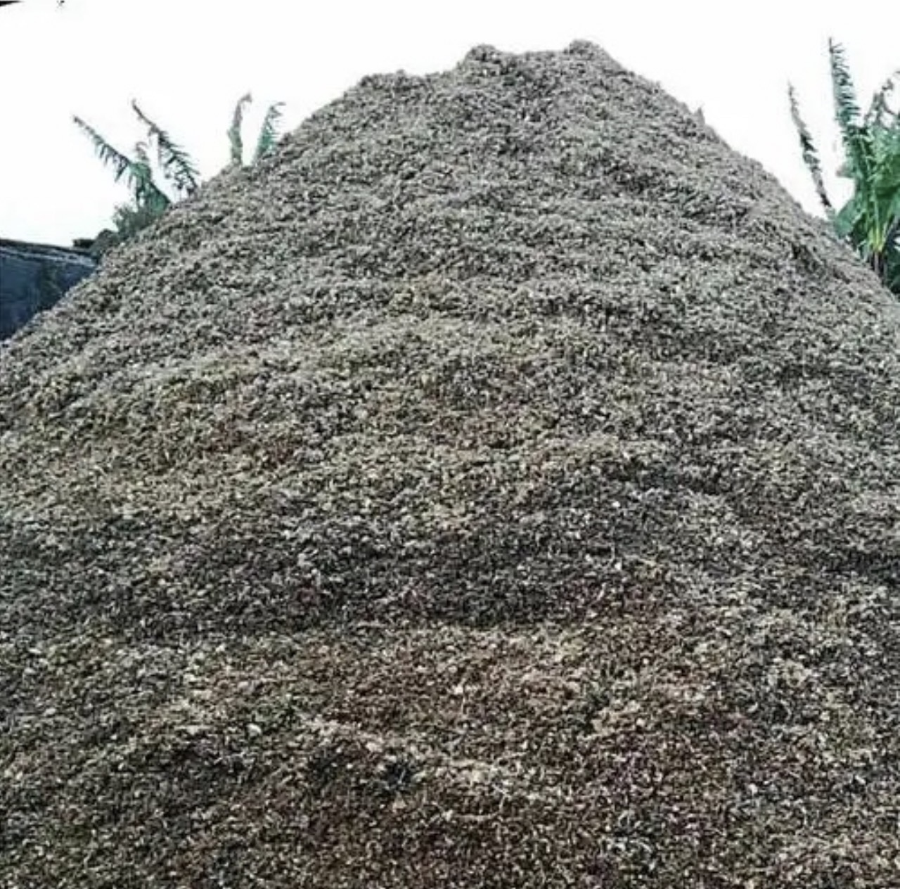 菠萝渣变废为宝：热泵烘干，利润与环保双丰收的秘诀