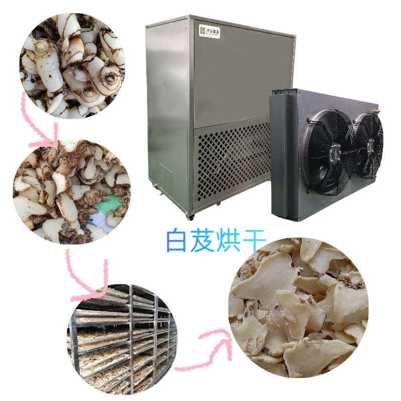 ba88ec04fe96705bbefa3b4d46a3f3f.png ba88ec04fe96705bbefa3b4d46a3f3f.png