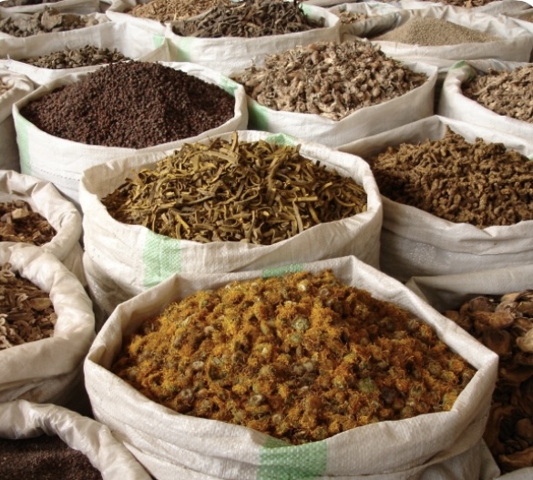 e5ccaf23529a364c79e43ad0ca399a1.jpg e5ccaf23529a364c79e43ad0ca399a1.jpg