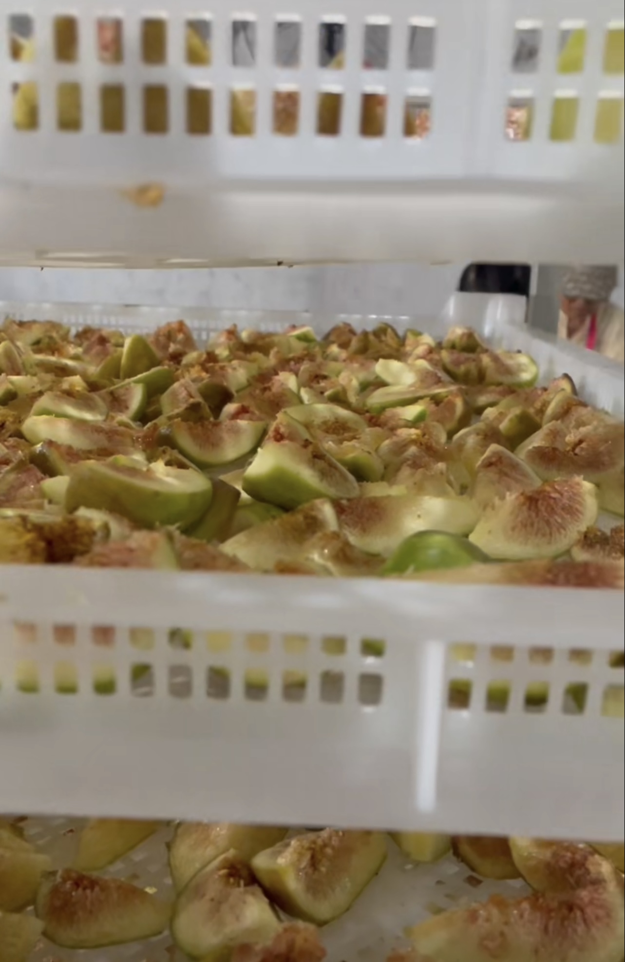 微信图片_20250805160952.jpg 微信图片_20250805160952.jpg