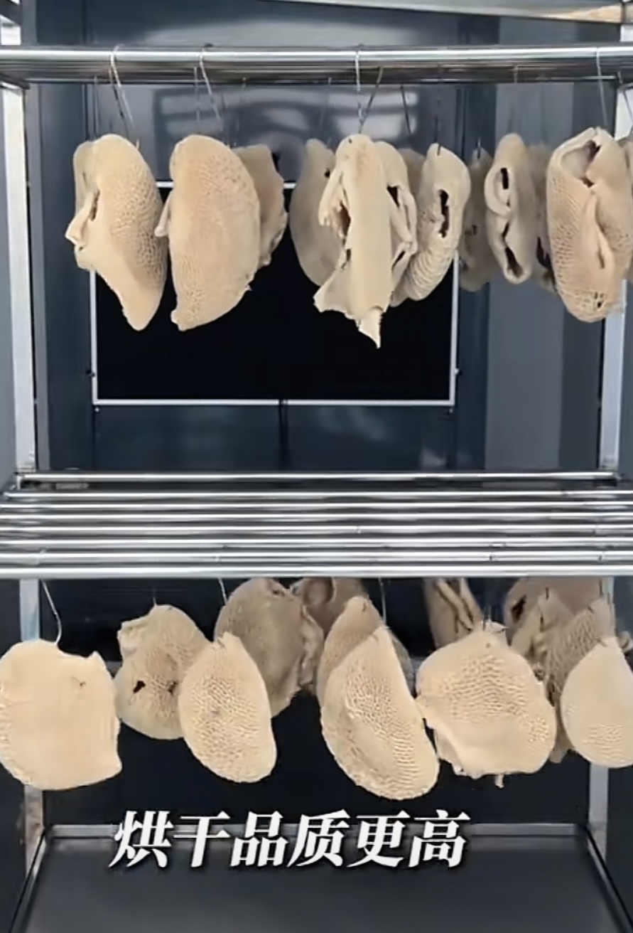 空气能热泵烘干解决方案，高效破解牛肚烘干难题