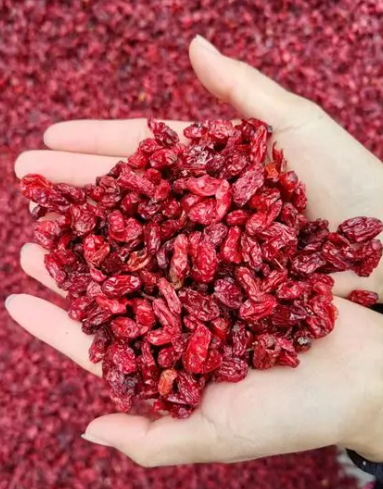 183a6319e238c4470d90172f627886ab.png 183a6319e238c4470d90172f627886ab.png