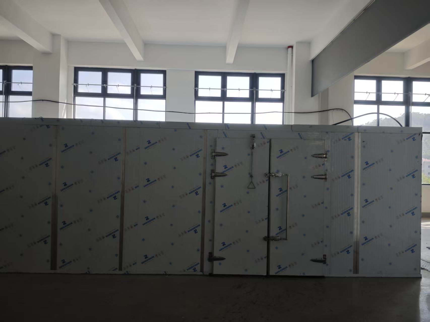 福建蒸汽烘干，蓝莓干1.jpg