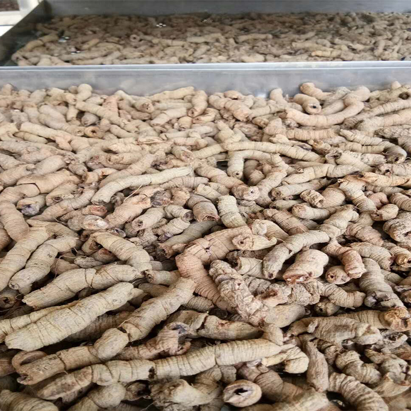 药材烘干的一次烘干和二次烘干差别在哪里？