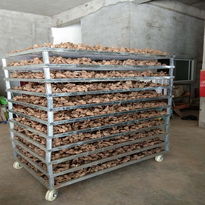 白术、白勺烘干项目