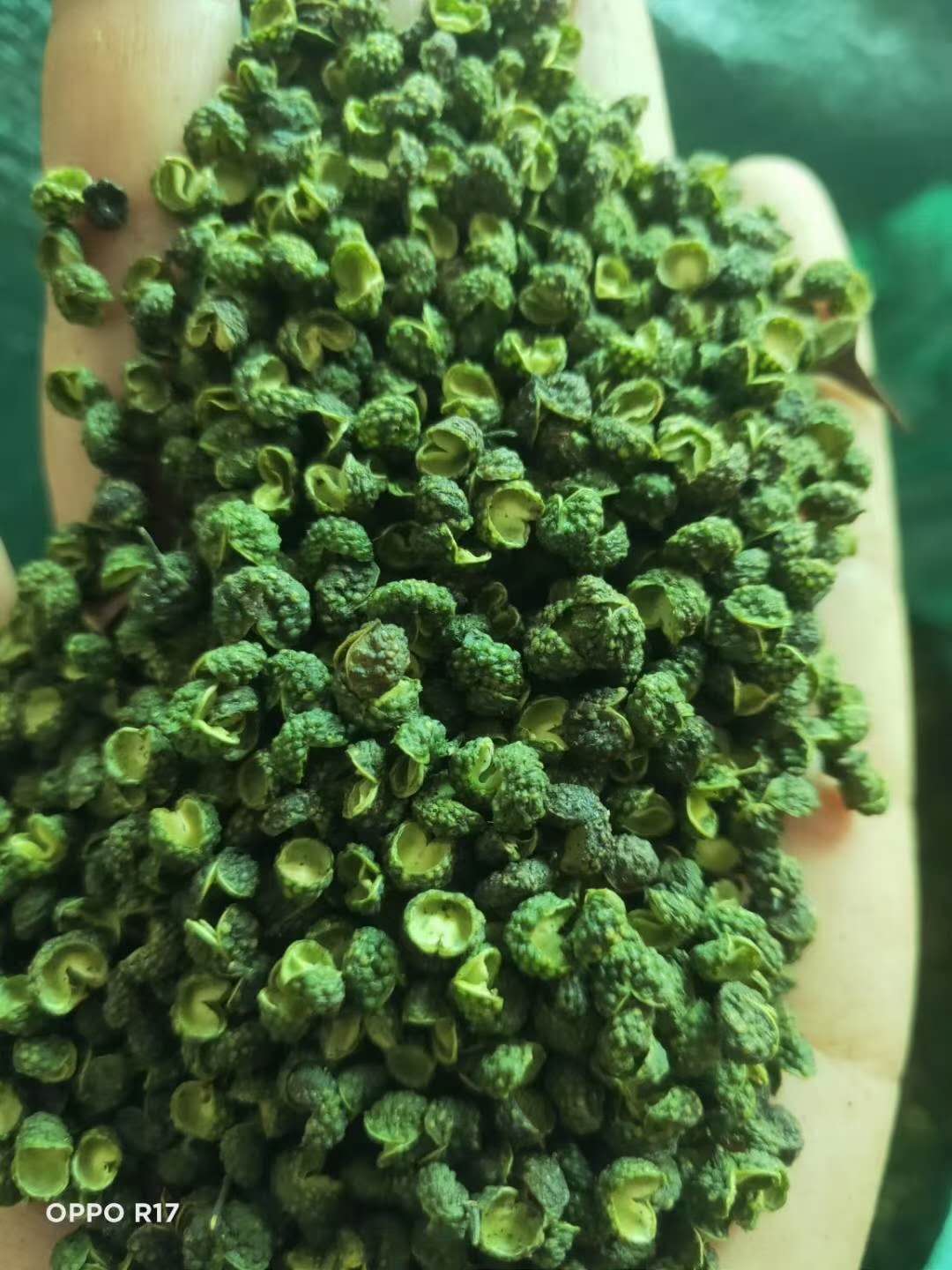 花椒烘干不将就：热泵锁住 99% 的山野麻香