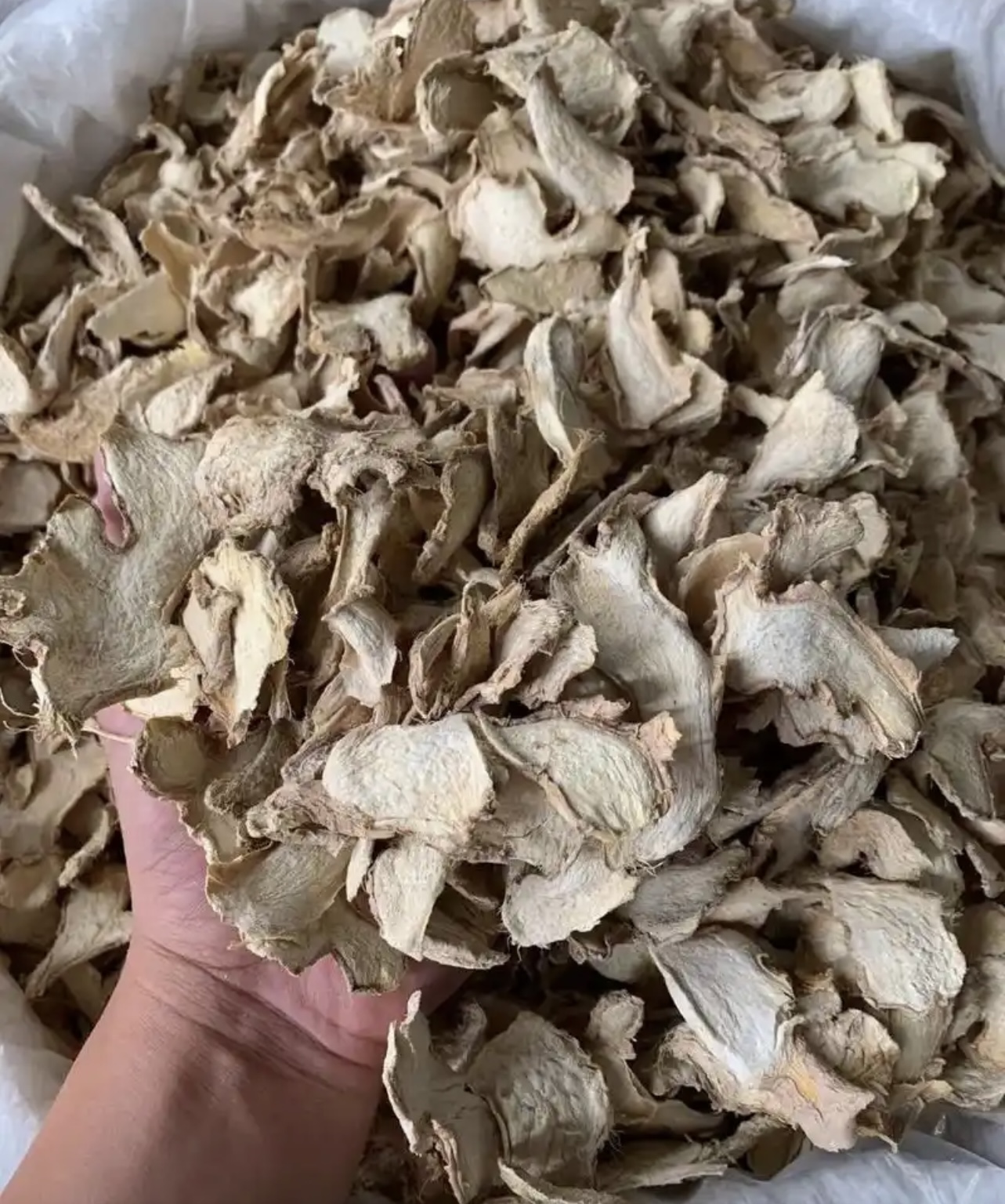 生姜烘干设备的通风系统有哪些常见的问题和解决方法