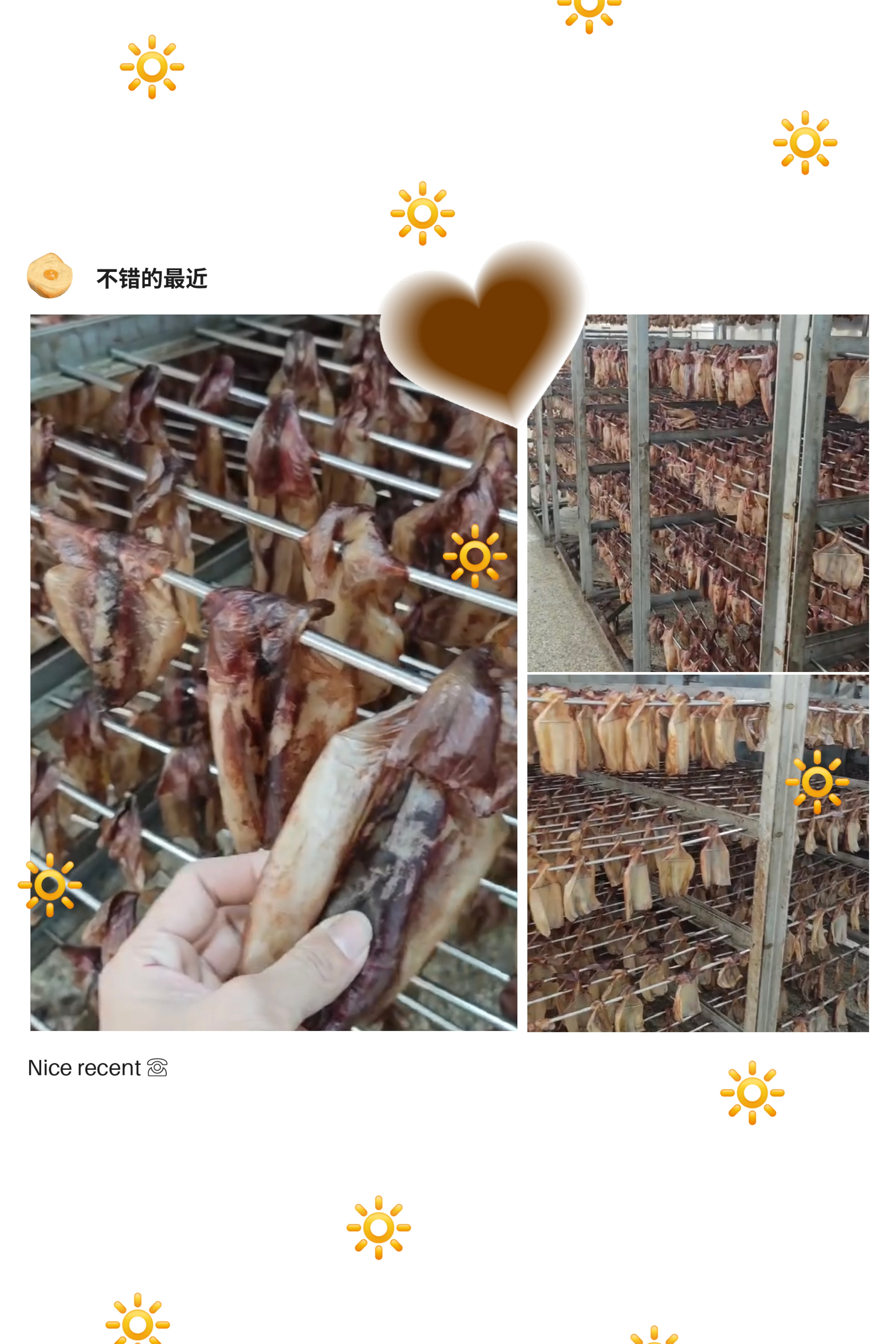 舟山，鱿鱼烘干