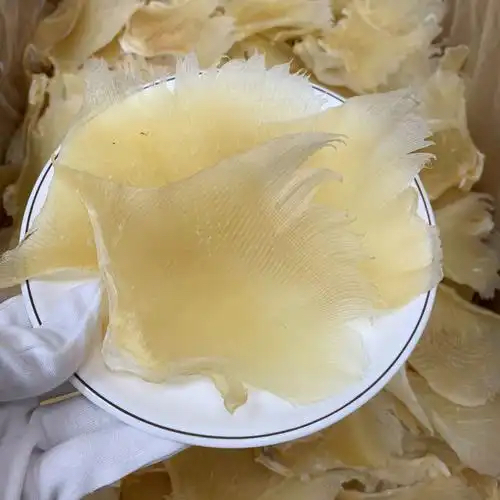 潮州鱼翅烘干项目