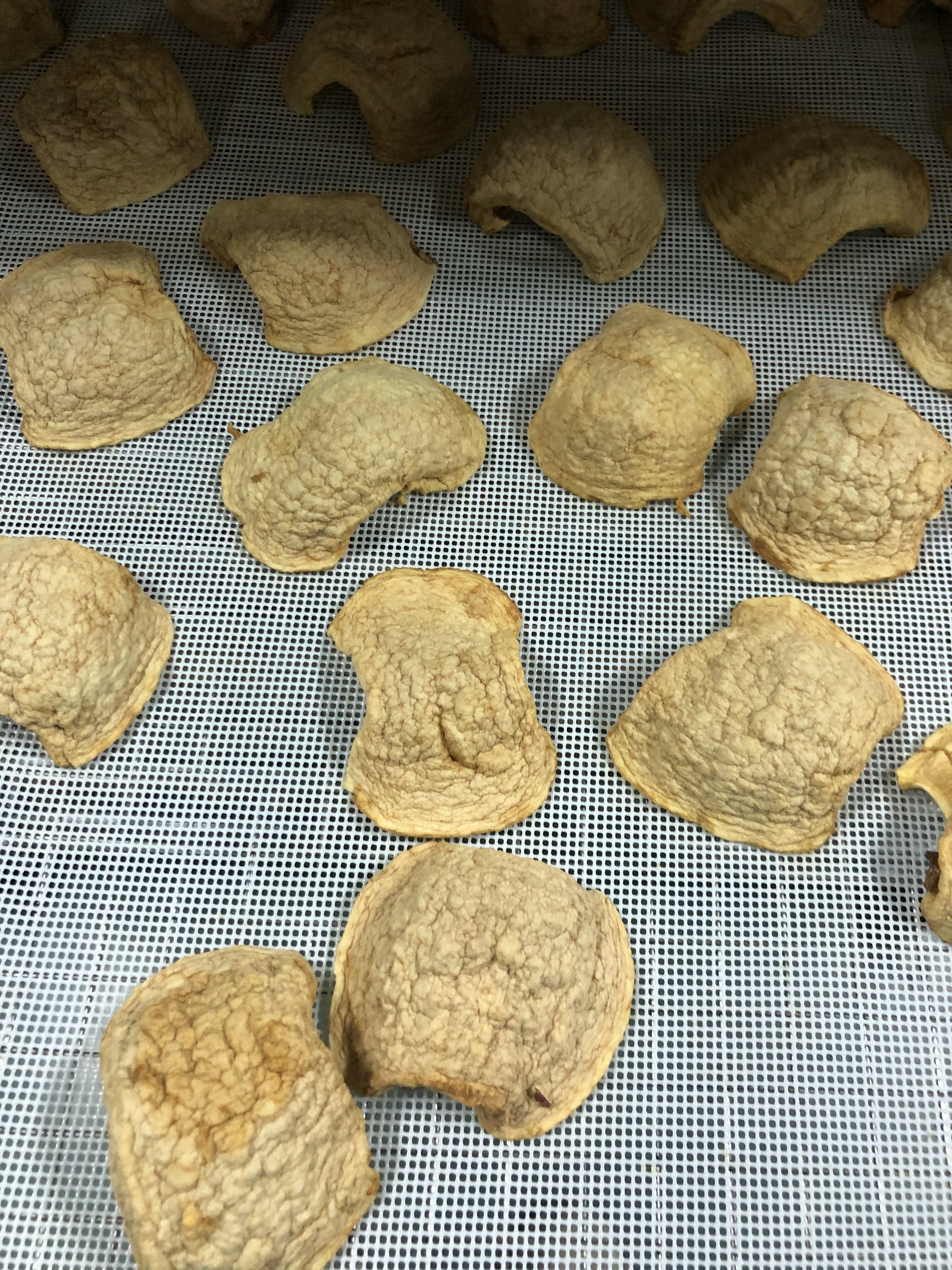 “苹果干”烘干项目