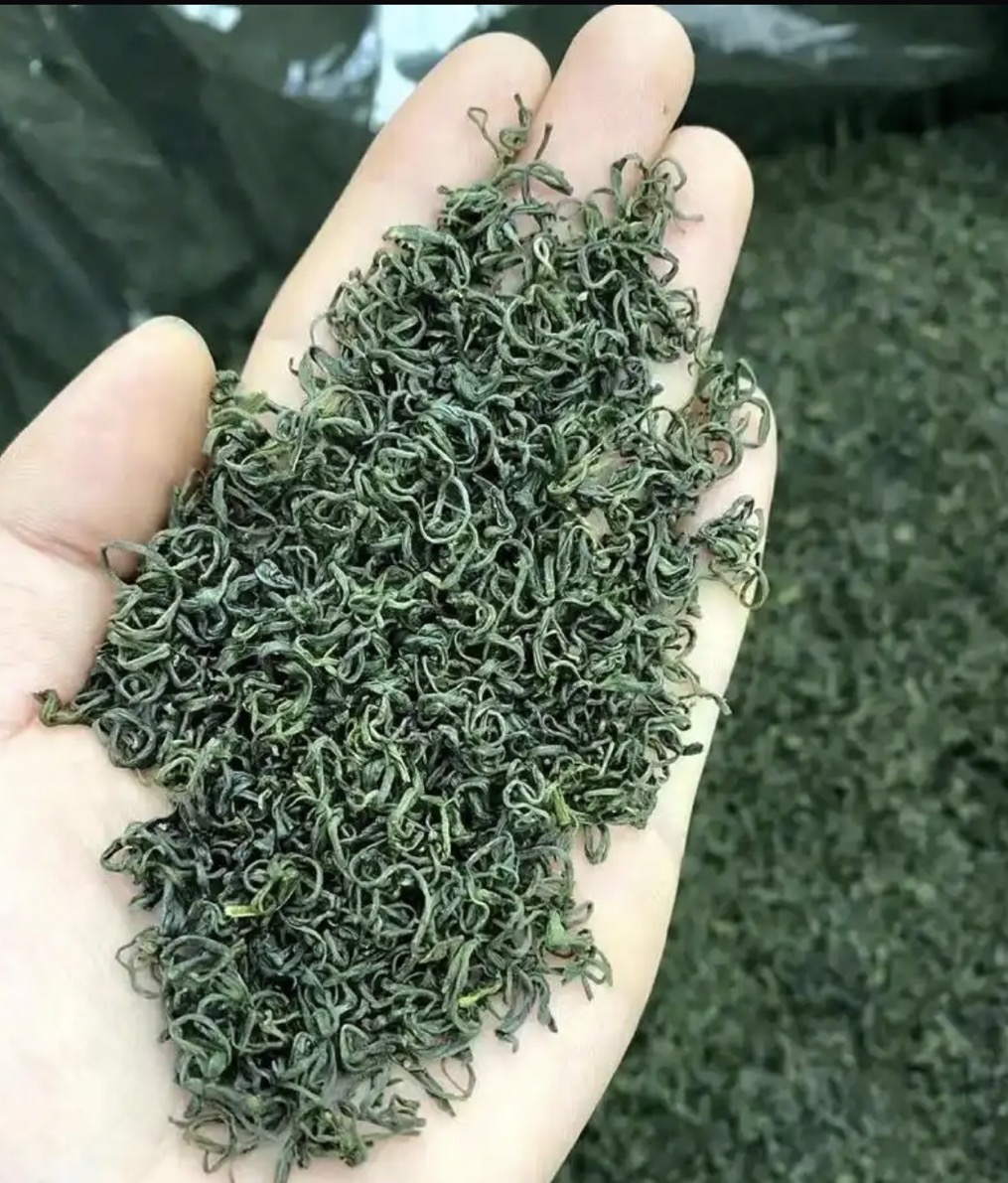 茶叶烘干过程中，不同品种的茶叶适宜的烘干温度是多少？