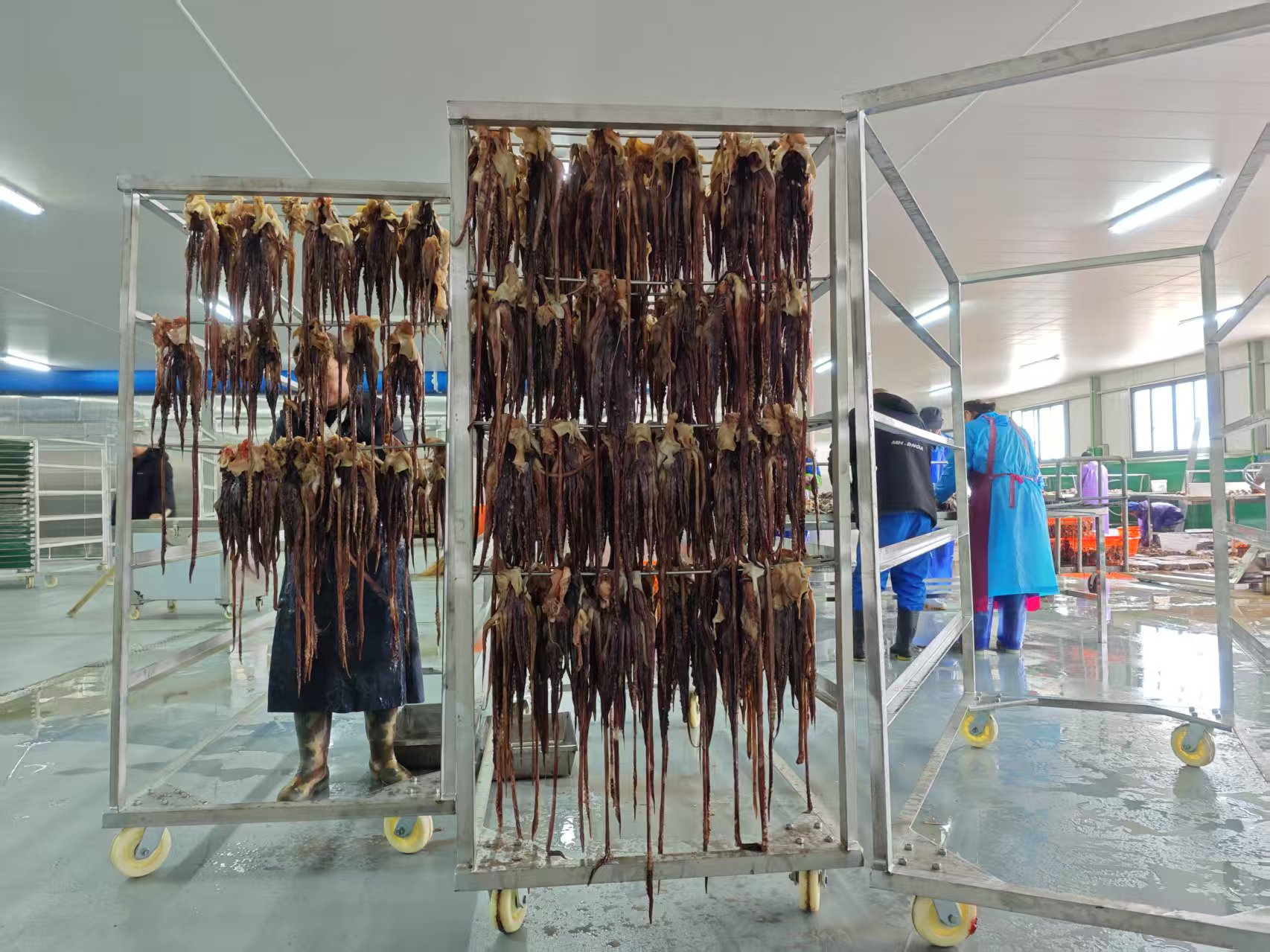 鱿鱼热泵烘干：节能、高效、环保三重奏