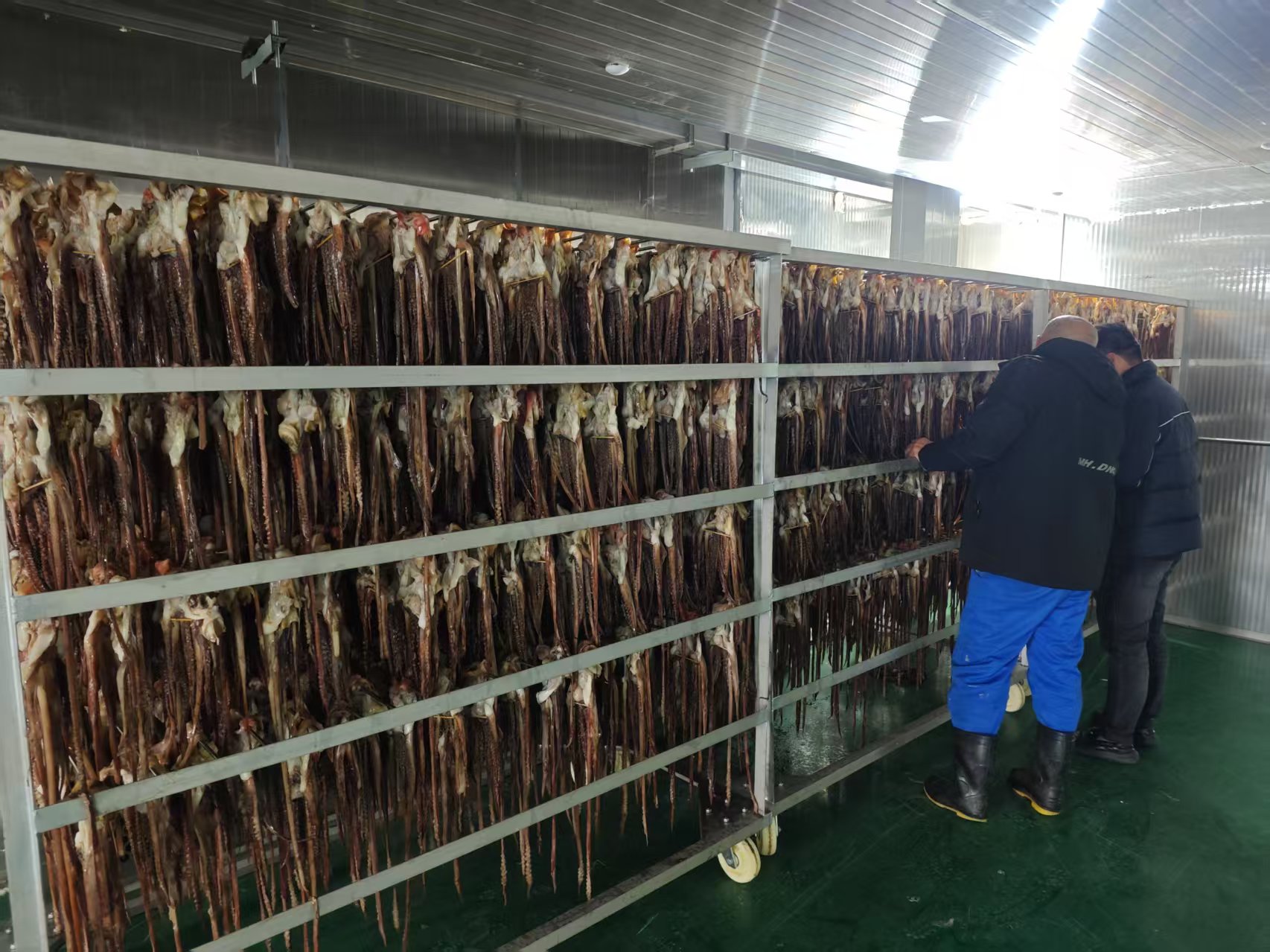 鱿鱼热泵烘干：节能、高效、环保三重奏