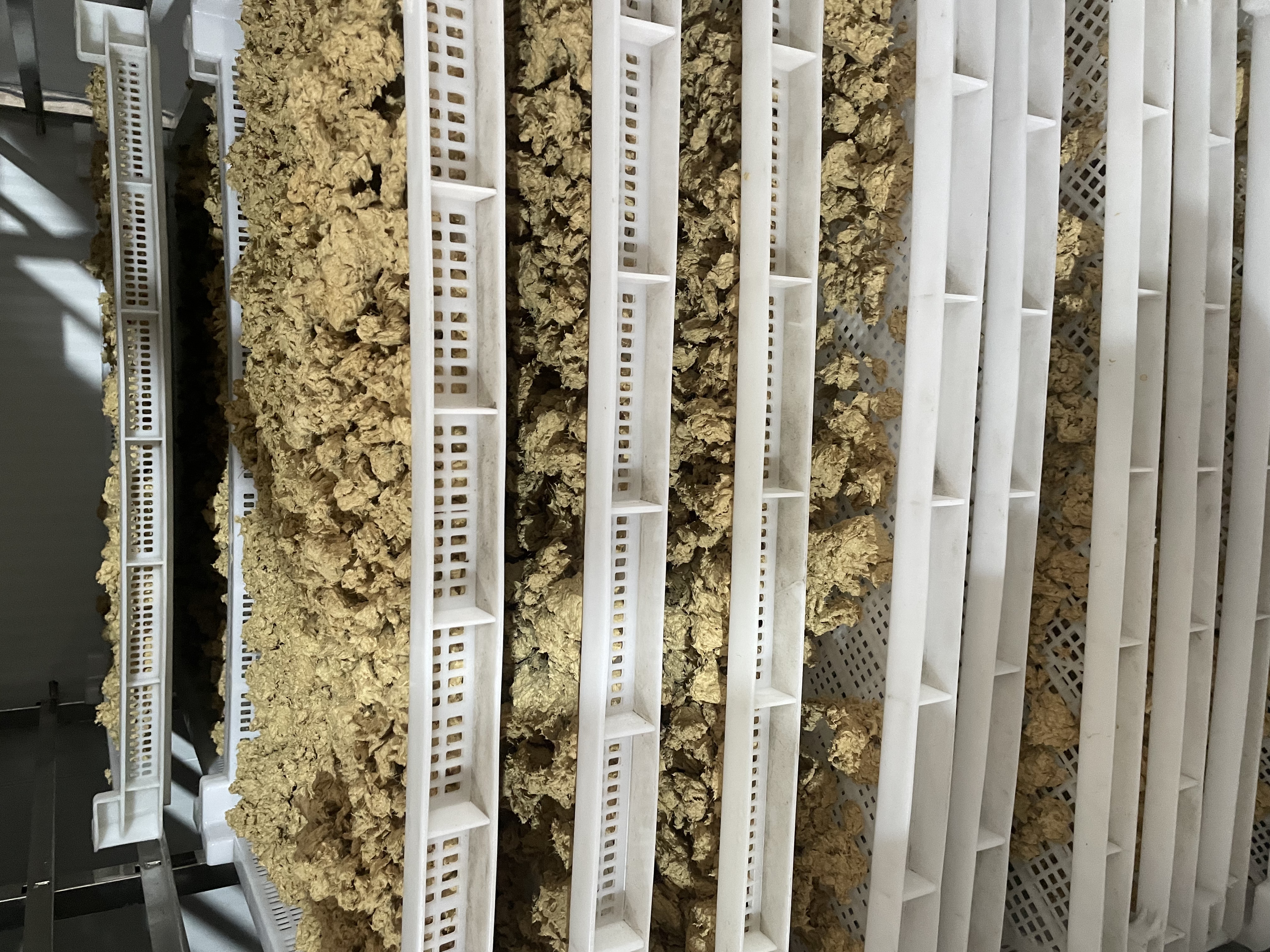 节能高效，专业烘干，打造优质纸品原材料