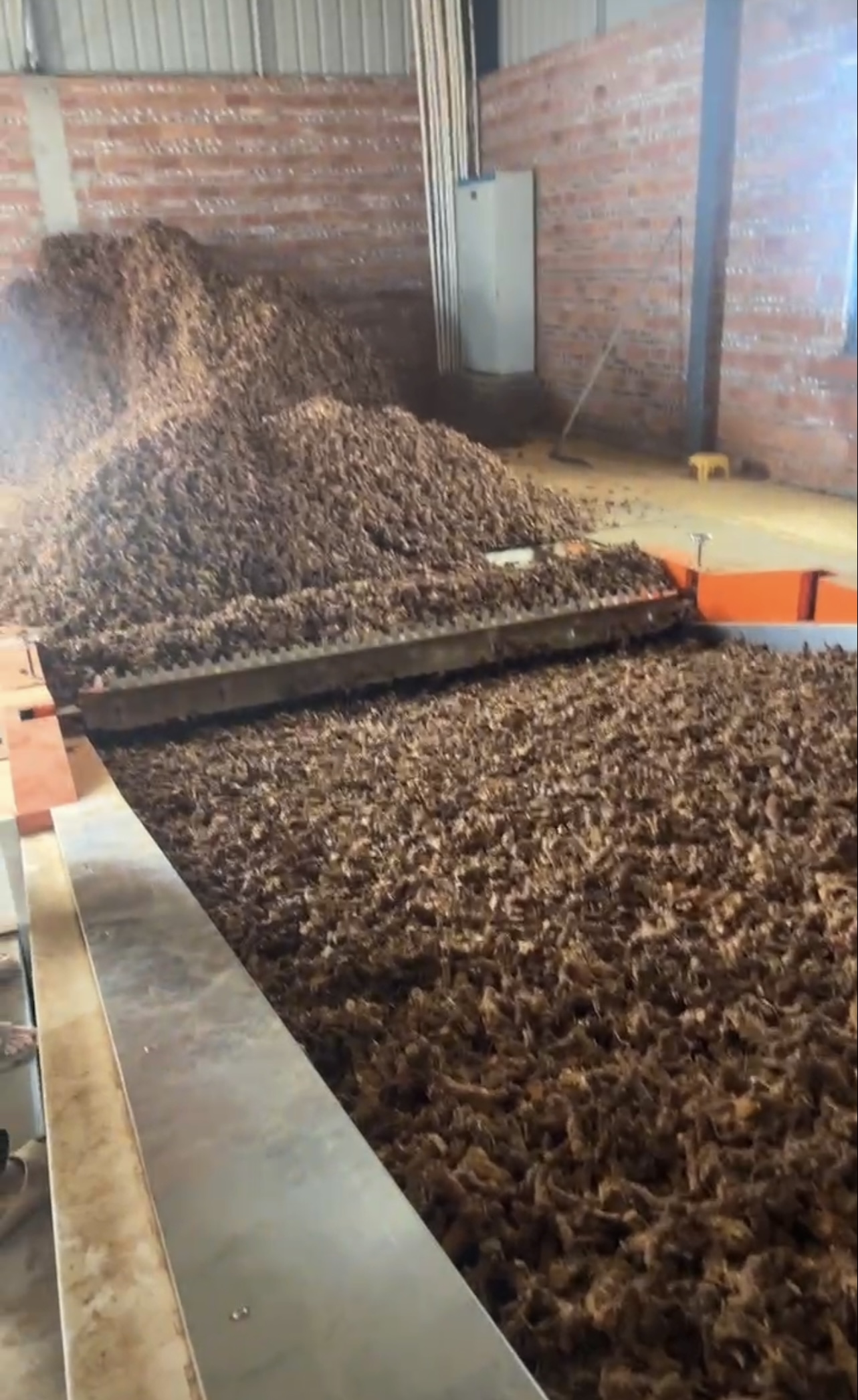 帝烨能源湛江（良姜）烘干项目