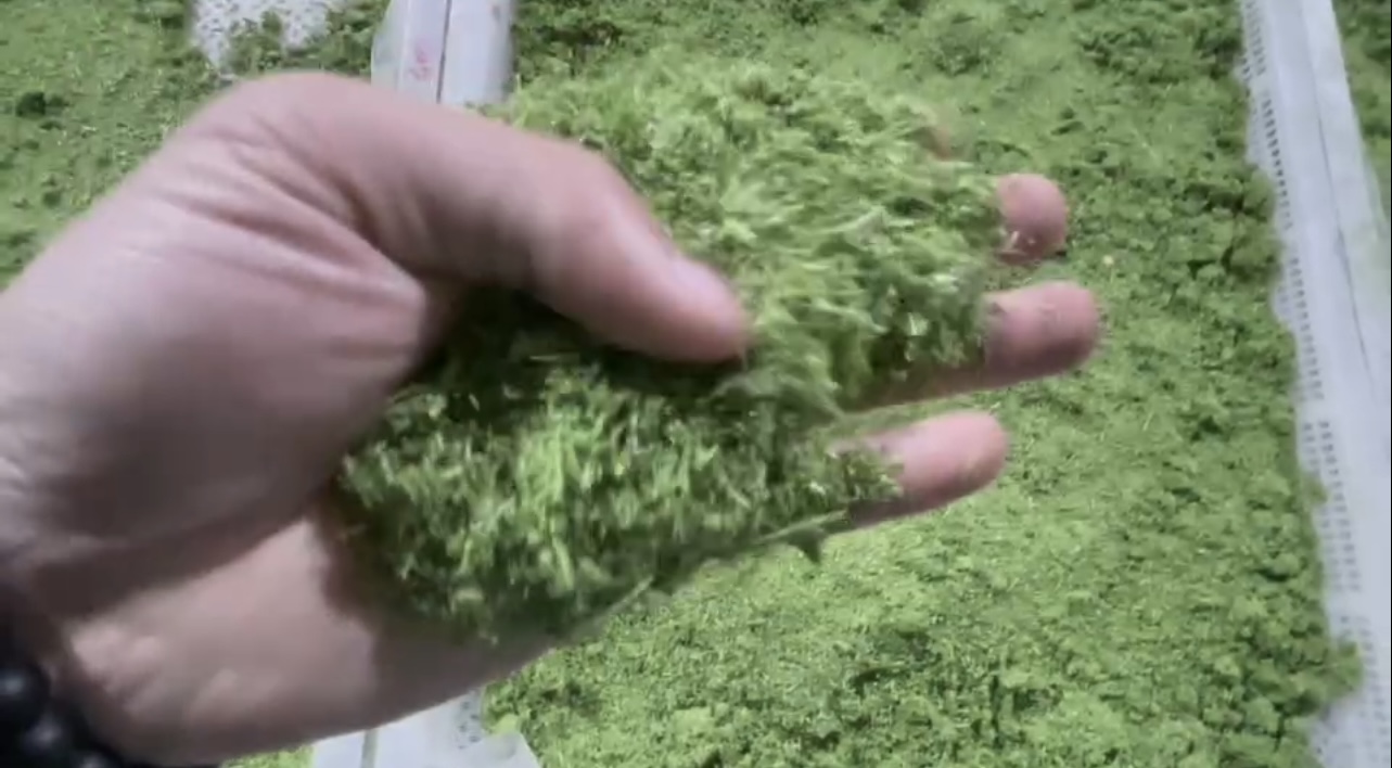 牧草烘干：含水量从80%降至15%以下，保持翠绿不变色。