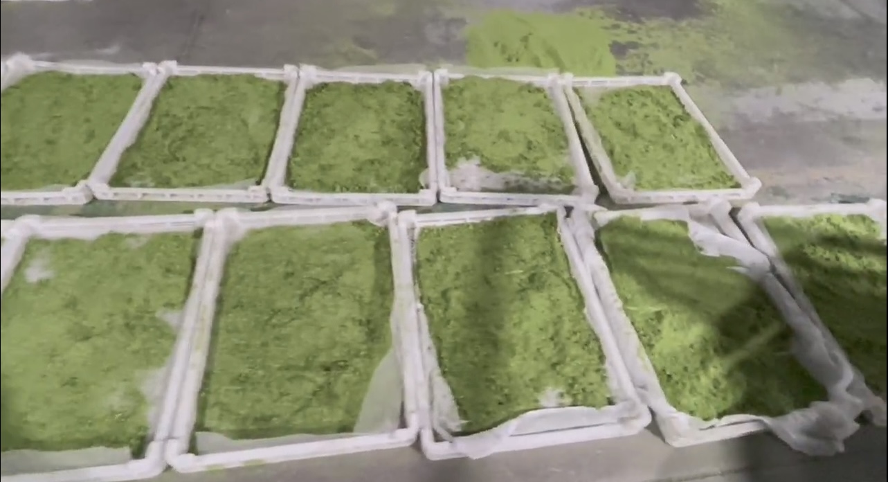 牧草烘干：含水量从80%降至15%以下，保持翠绿不变色。