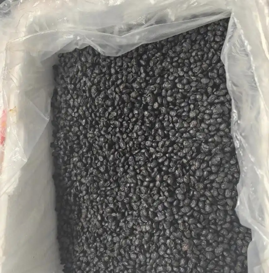 阳江豆鼓烘干项目