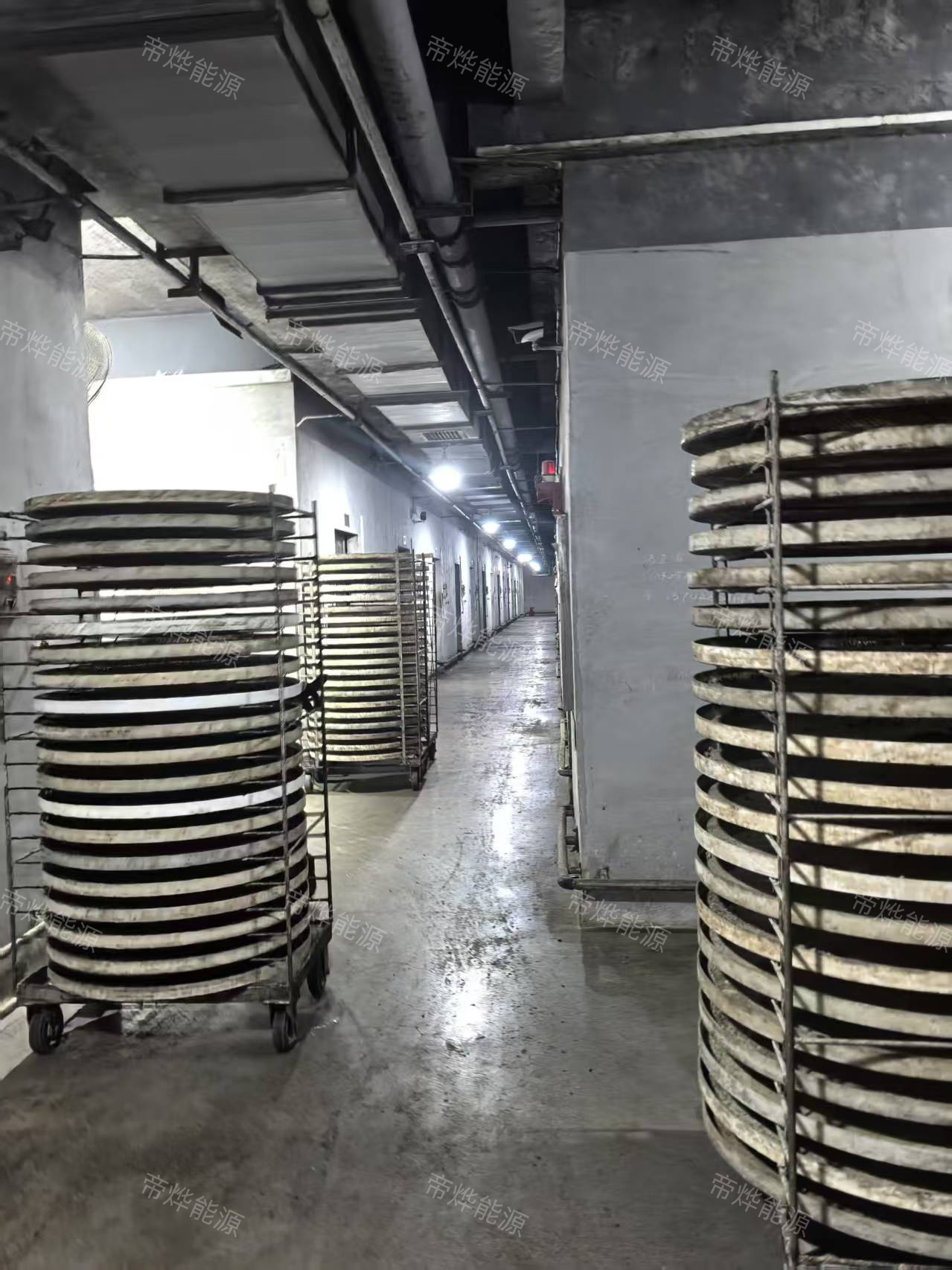 阳江豆鼓烘干项目