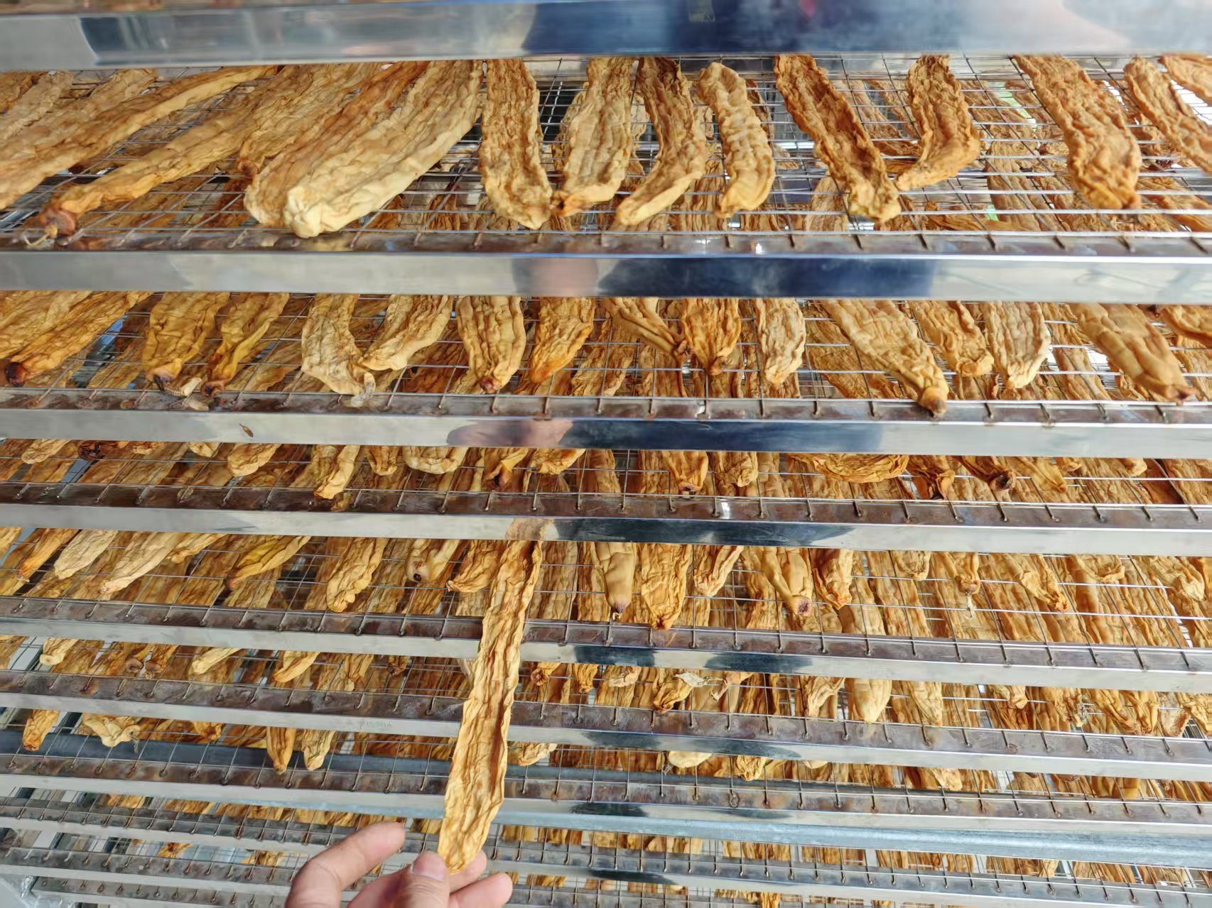 黄瓜干烘干项目