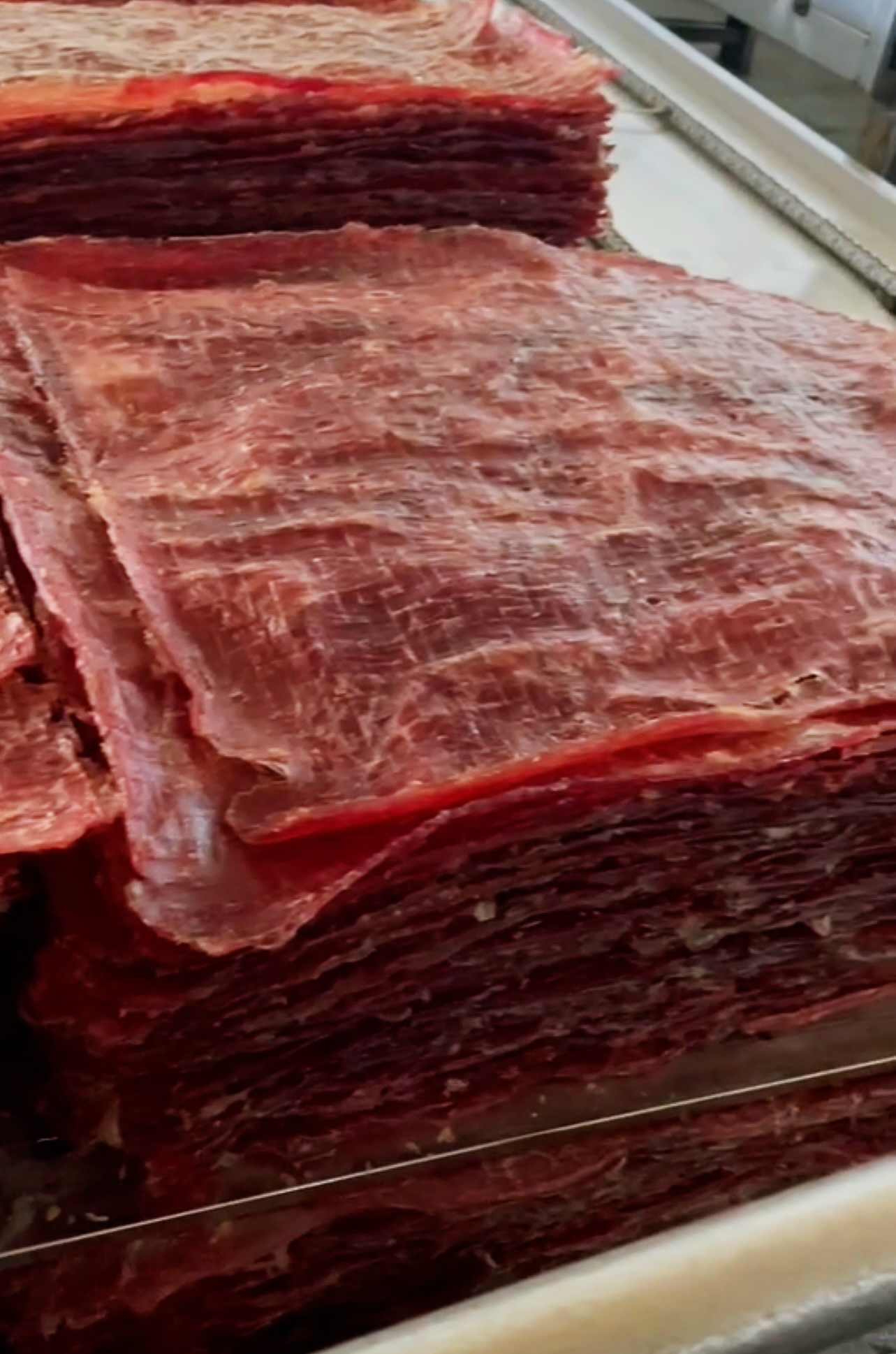 猪肉脯烘干项目