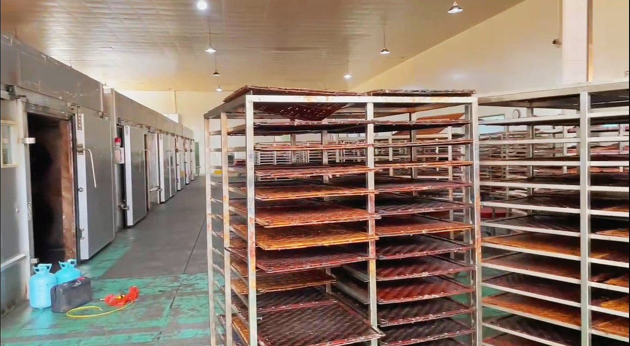 猪肉脯烘干项目