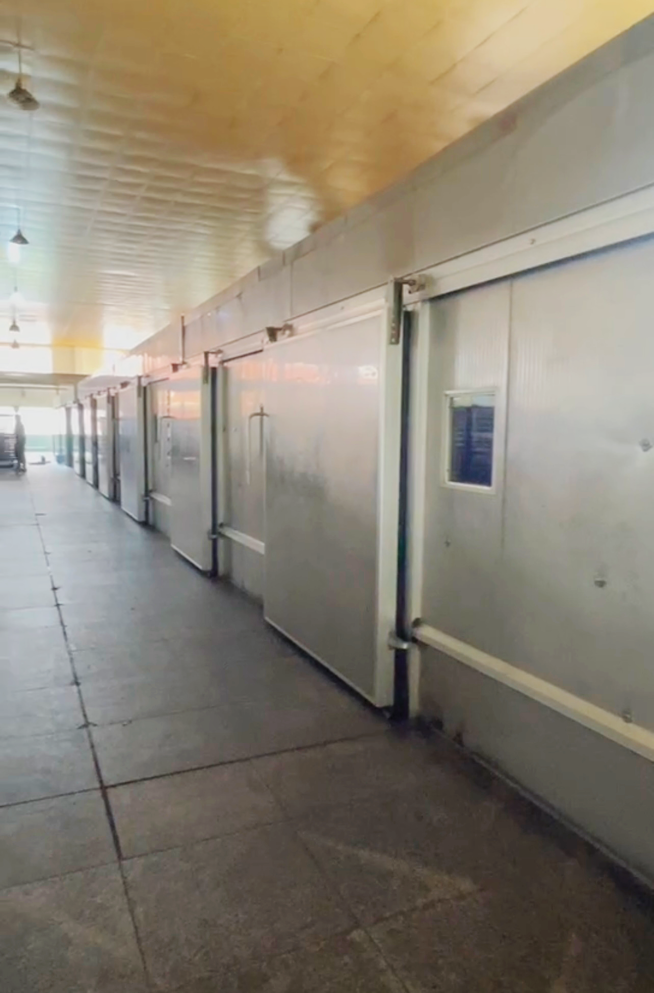 猪肉脯烘干项目