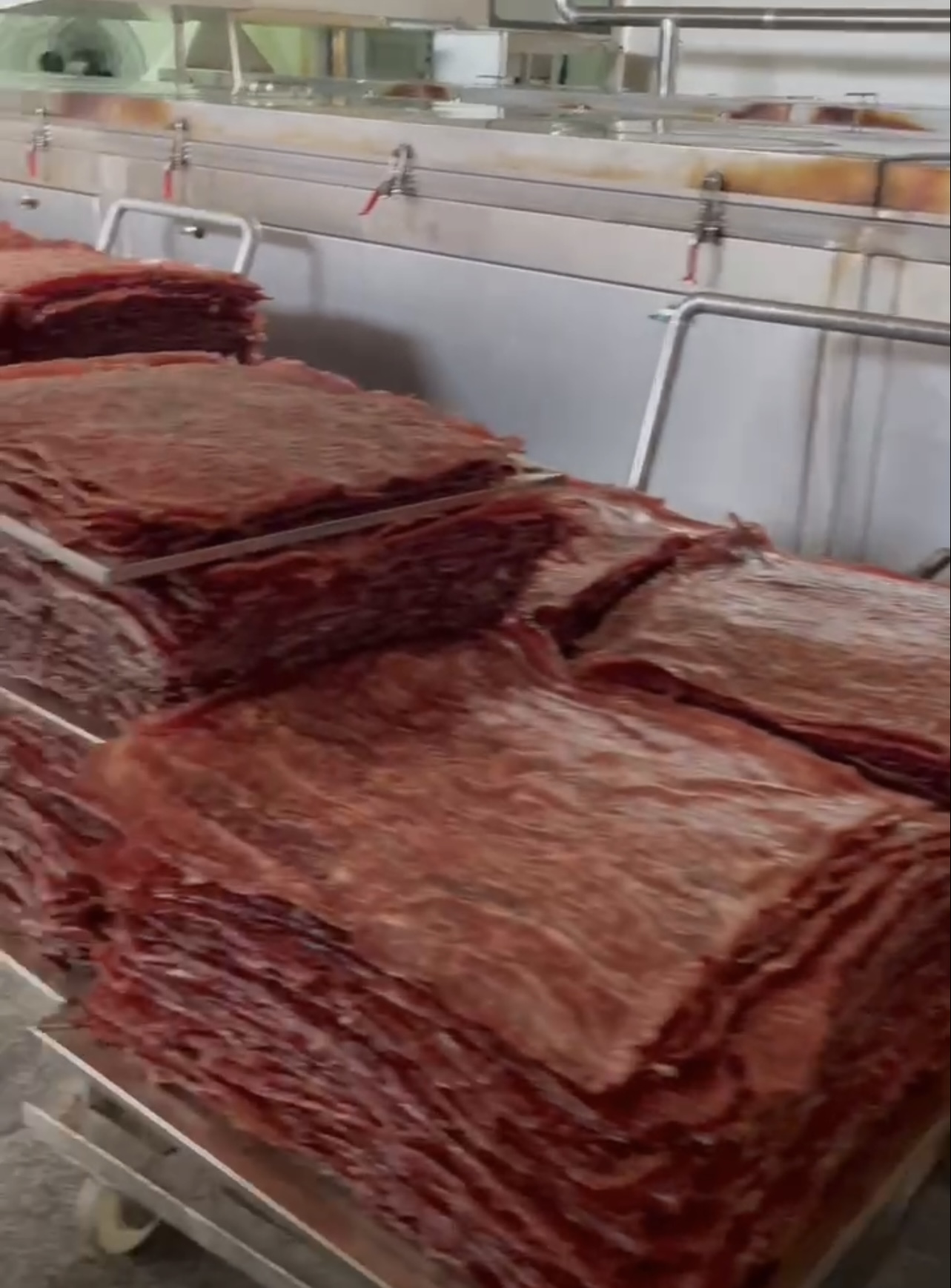 猪肉脯烘干项目