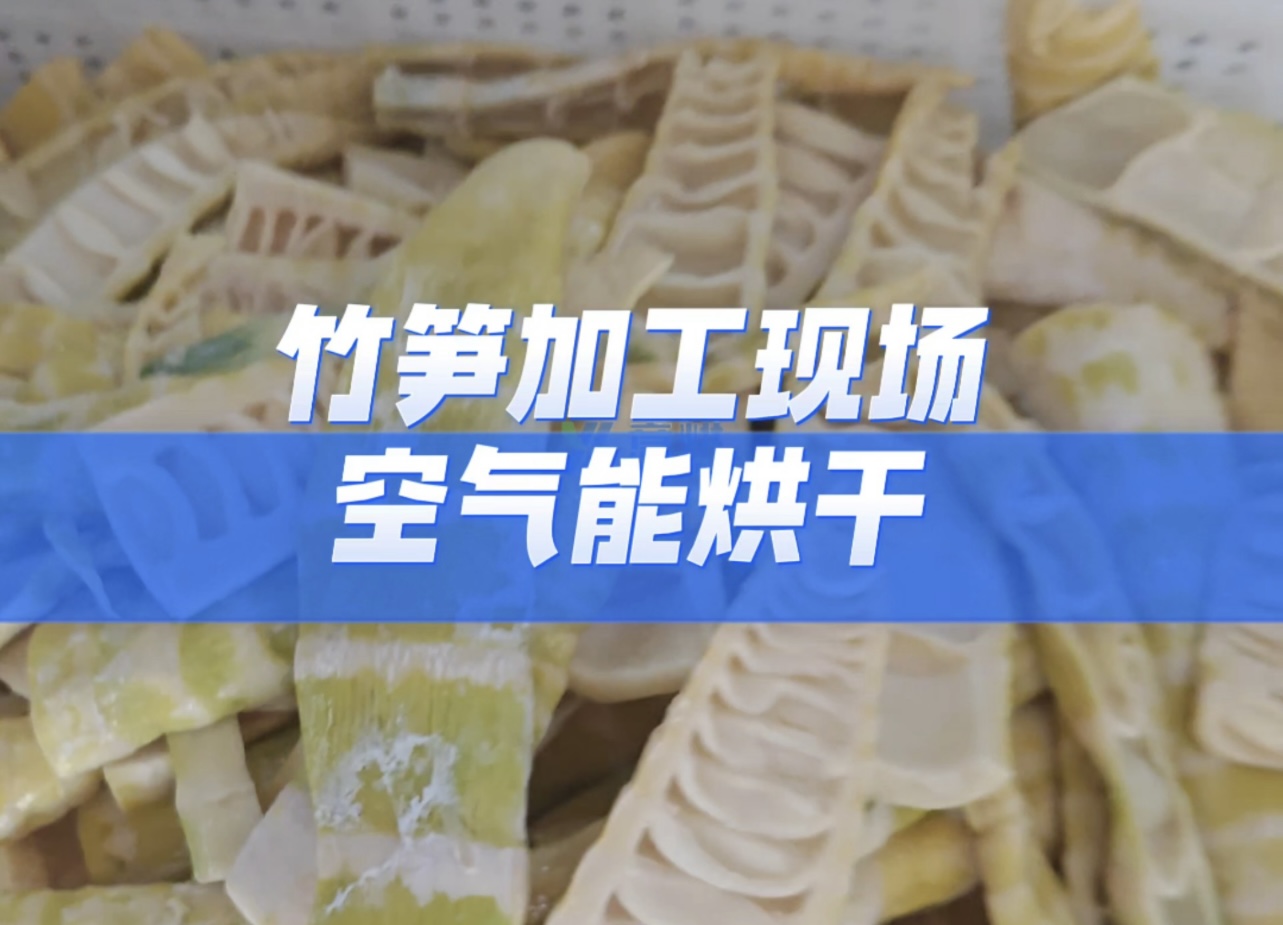 热泵烘干竹笋：精准控温锁脆嫩，品质稳定