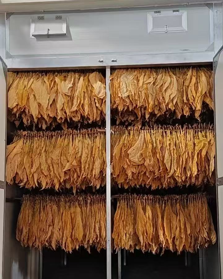 烟草烘干：客户反馈效果非常好