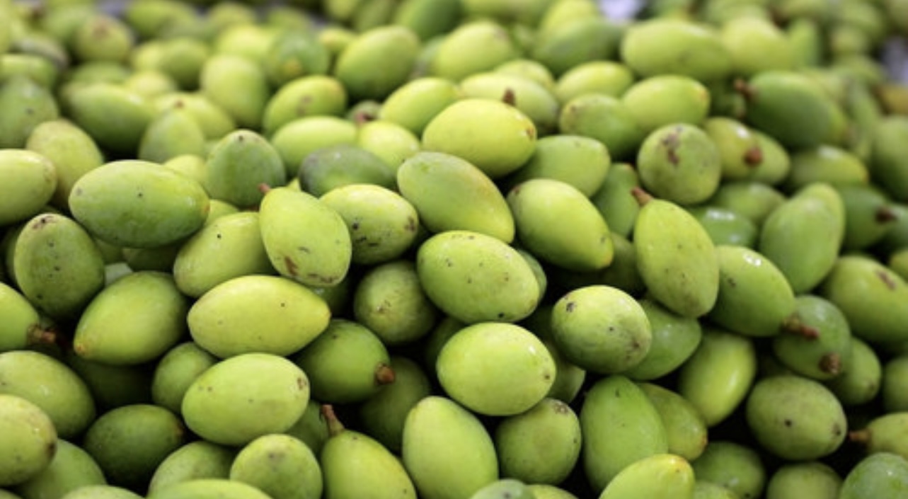 青果烘干：从采摘到成品，热泵烘干如何实现色泽与营养双保留？