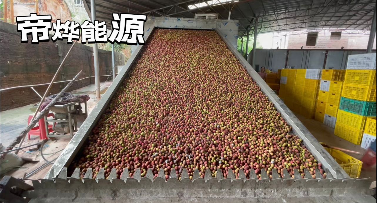 帝烨能源——高州荔枝烘干项目