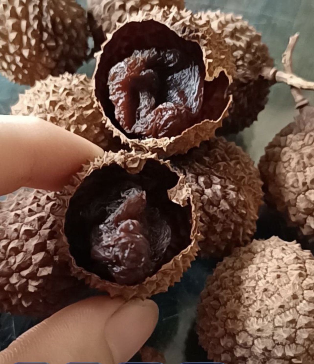 帝烨能源——高州荔枝烘干项目