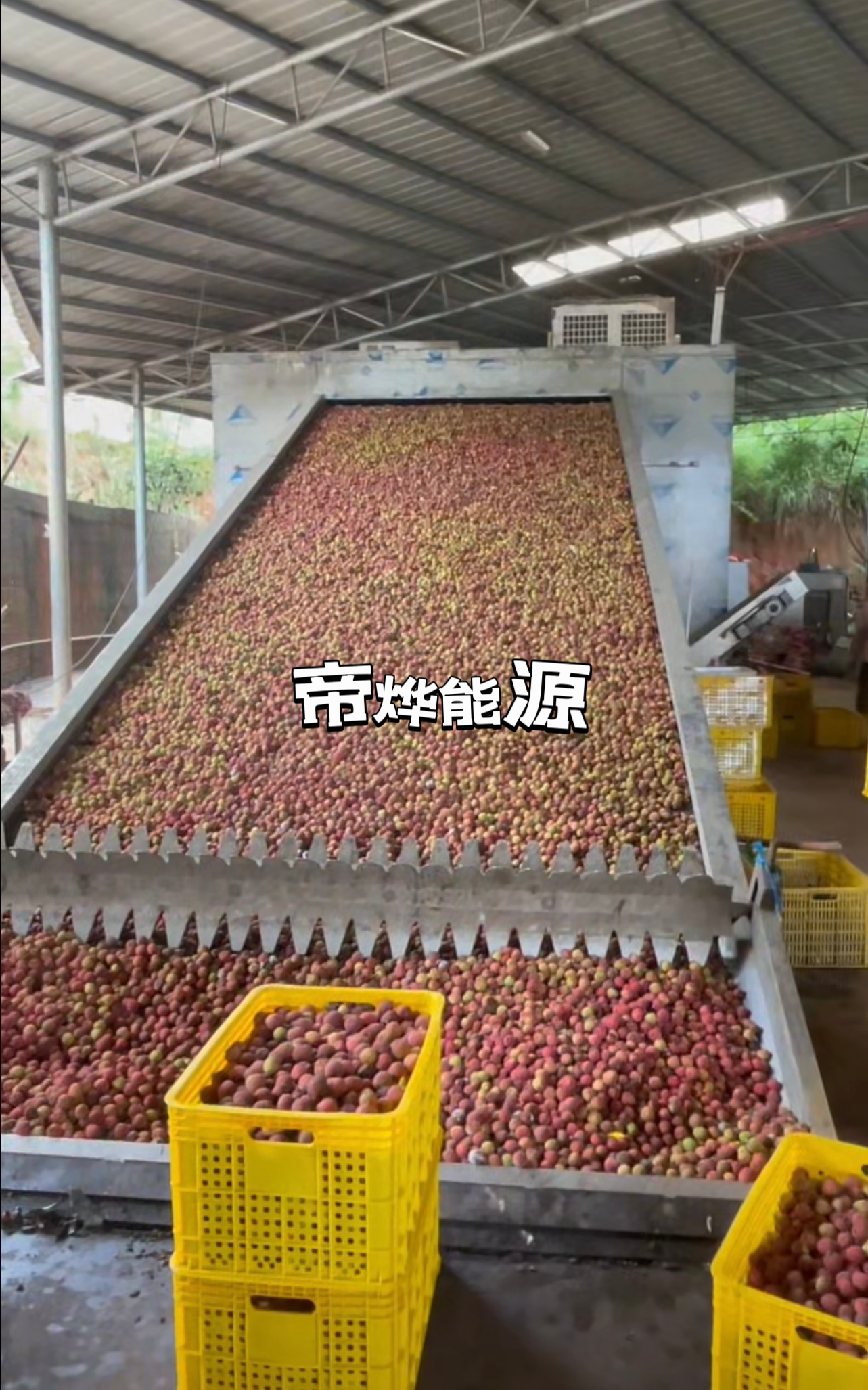 帝烨能源——高州荔枝烘干项目