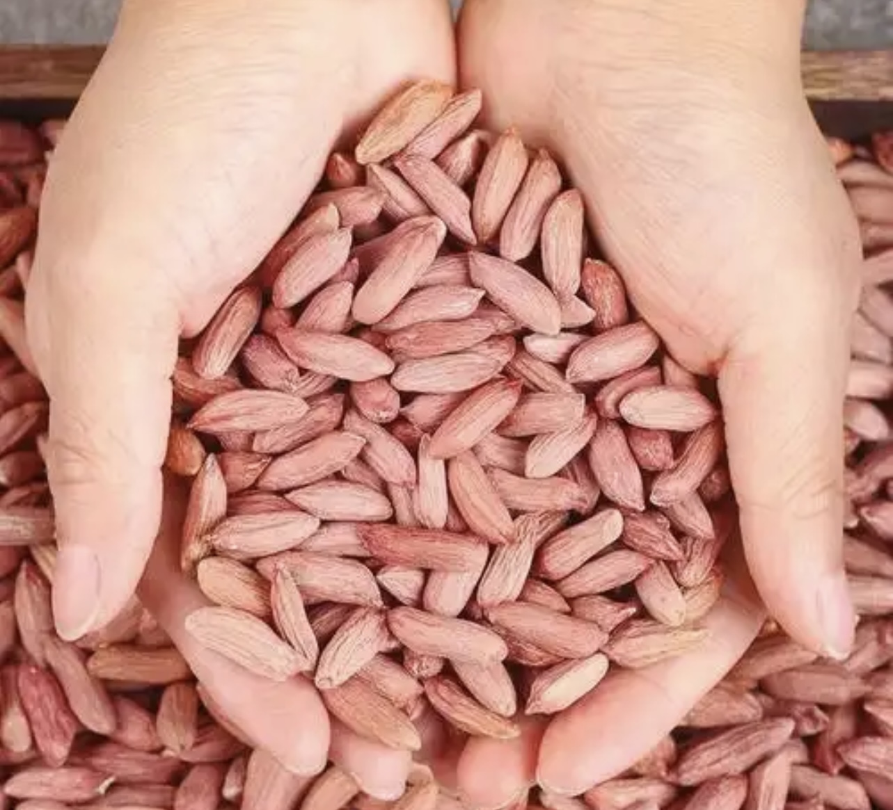 热泵烘干：花生仁烘干方案