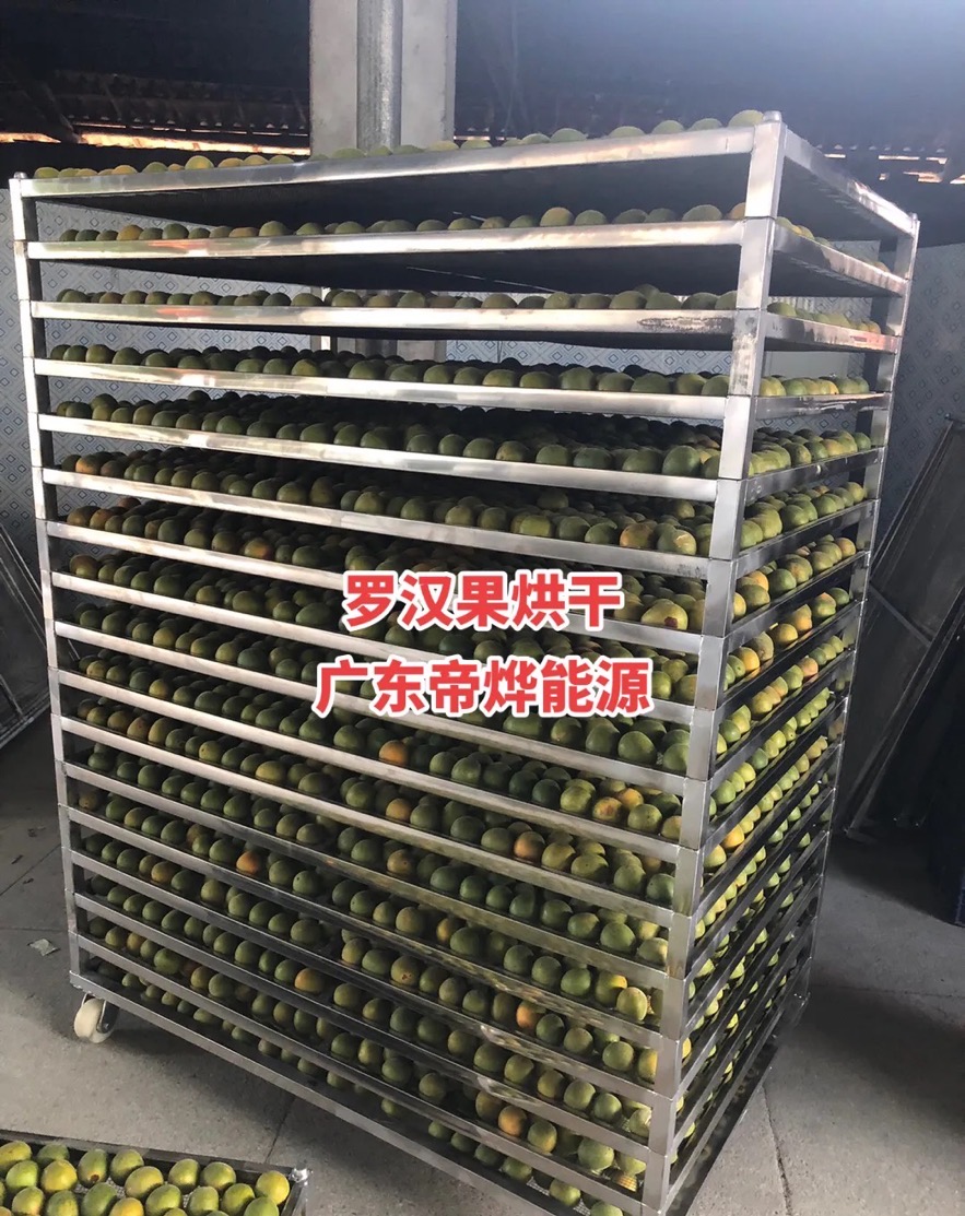 罗汉果烘干项目