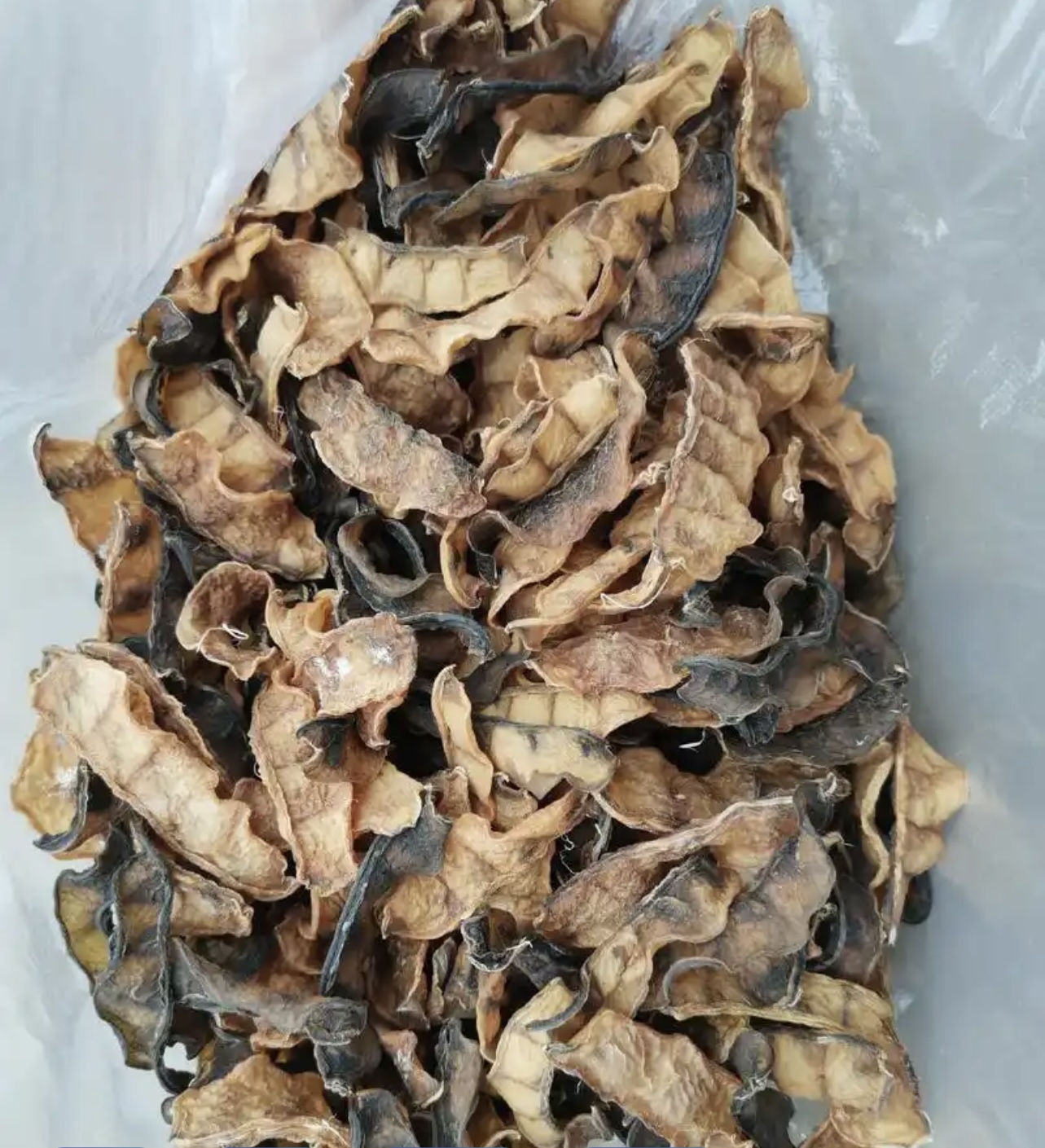 想要扁豆烘干更高效、品质更稳定？扁豆烘干的解决方案