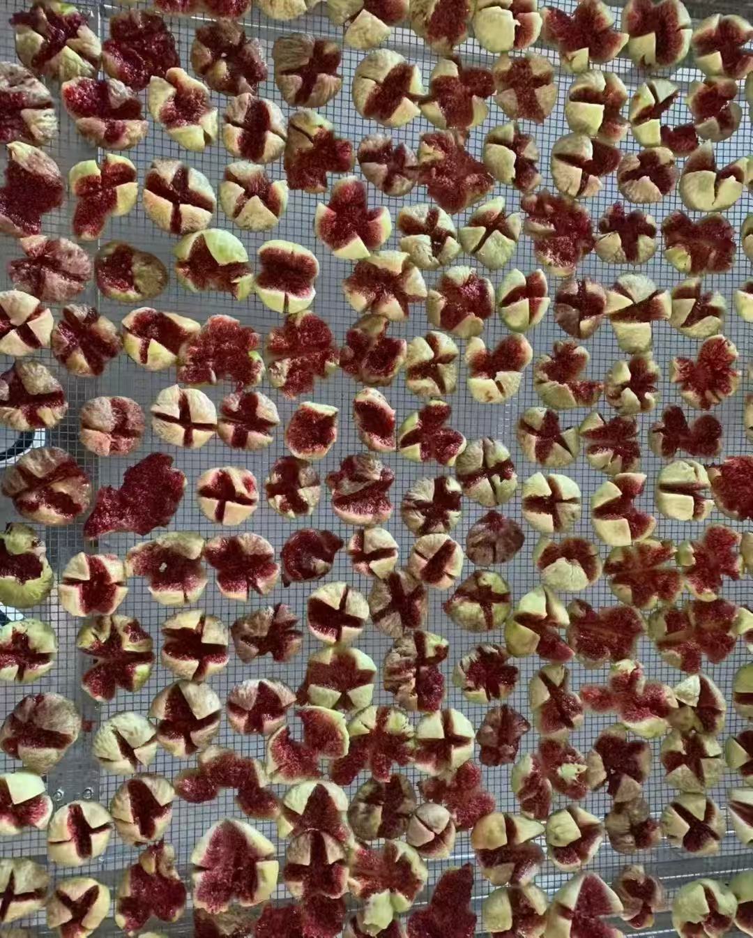 无花果烘干新方案：空气能控温，颗颗蜜心不焦边