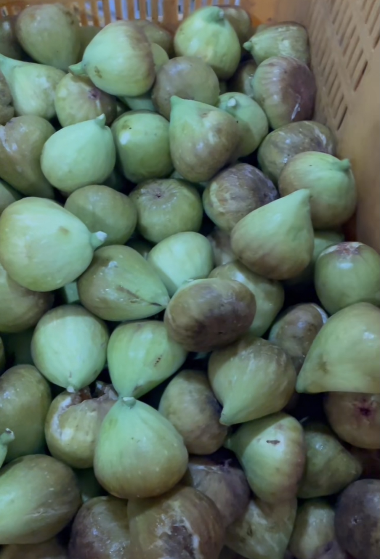 无花果烘干：空气能热泵恒温循环有讲究，高效低耗，甜分留 90%，软糯有嚼劲