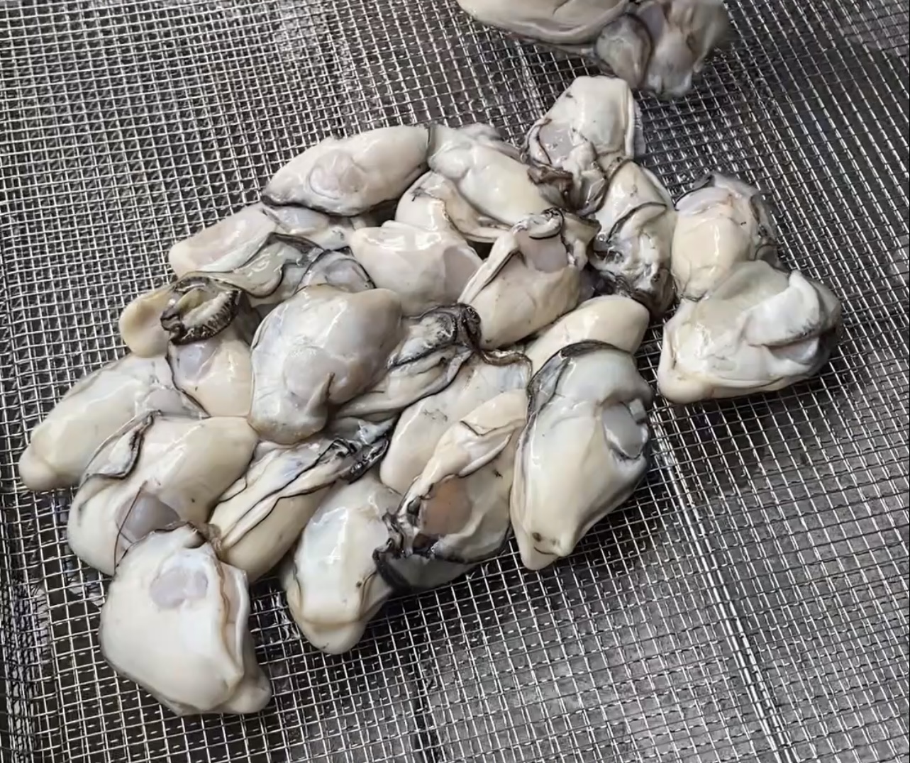 海产生耗烘干愁？热泵恒温除湿，鱼 / 虾 / 贝类 24 小时烘透，成本低还卫生！