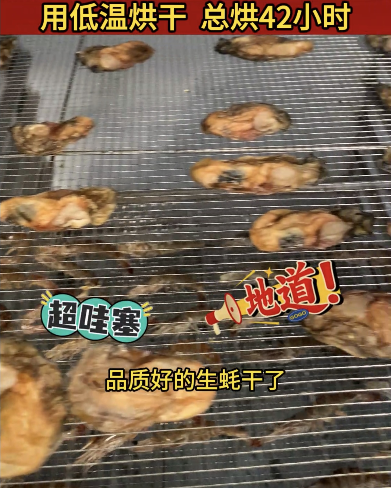 海产生耗烘干愁？热泵恒温除湿，鱼 / 虾 / 贝类 24 小时烘透，成本低还卫生！