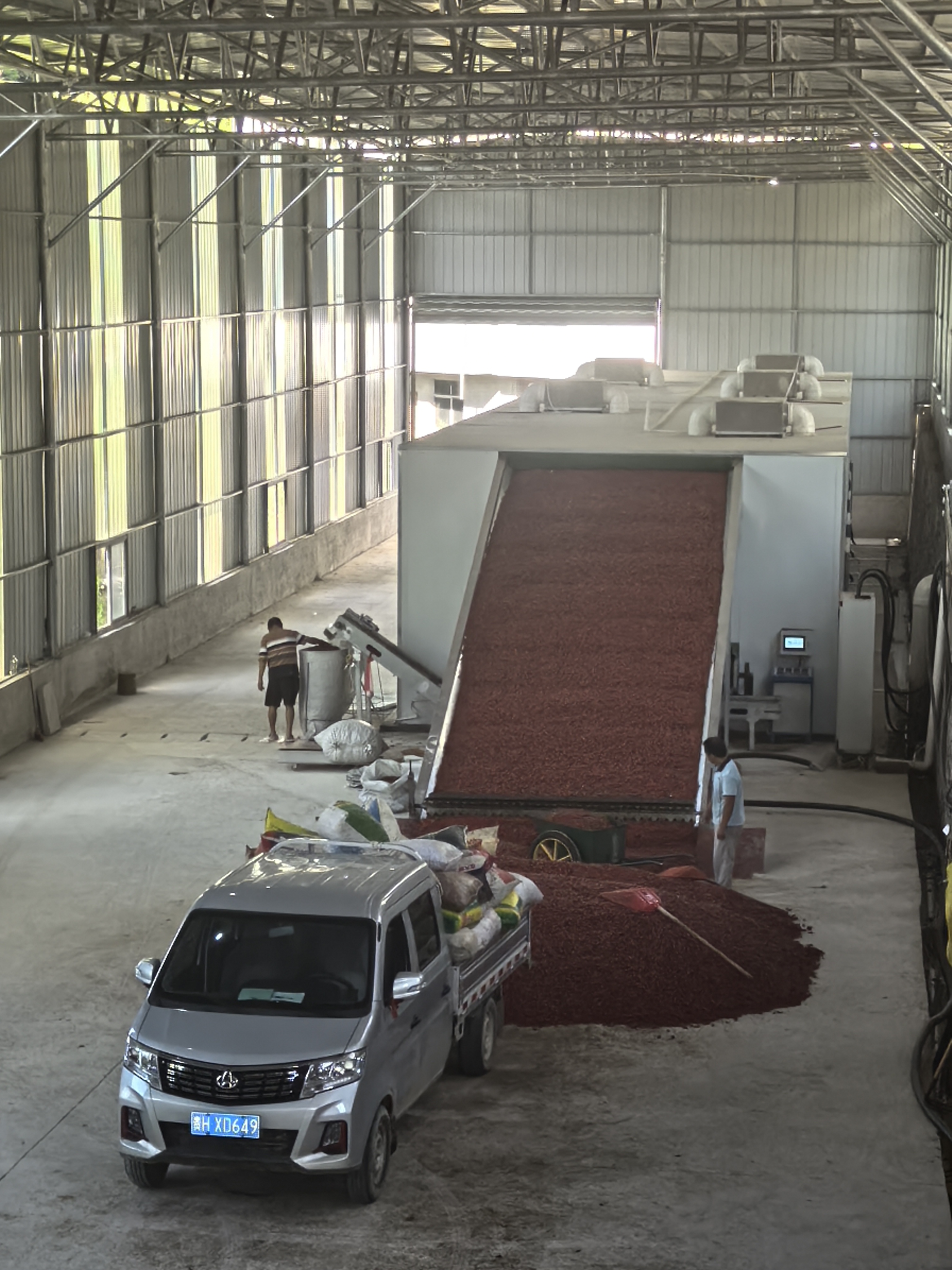 子弹头辣椒烘干项目