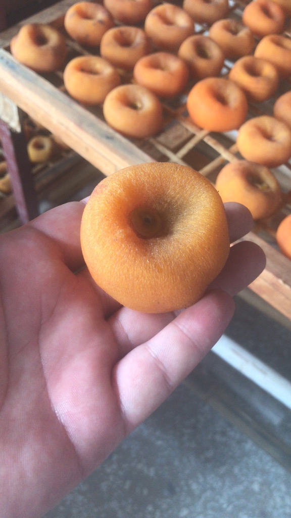 柿子烘干：量身定制方案，适配全品种柿子加工