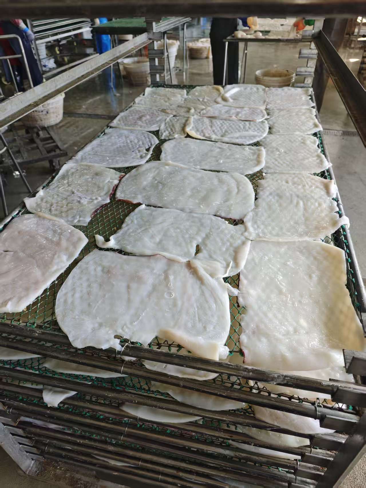 舟山鱿鱼丝烘干项目