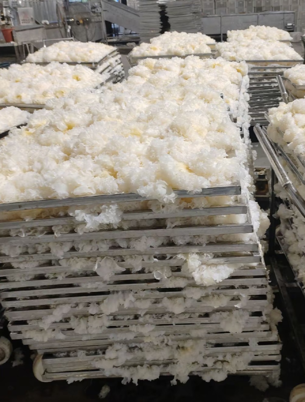 烘干银耳的工艺要点及核心优势